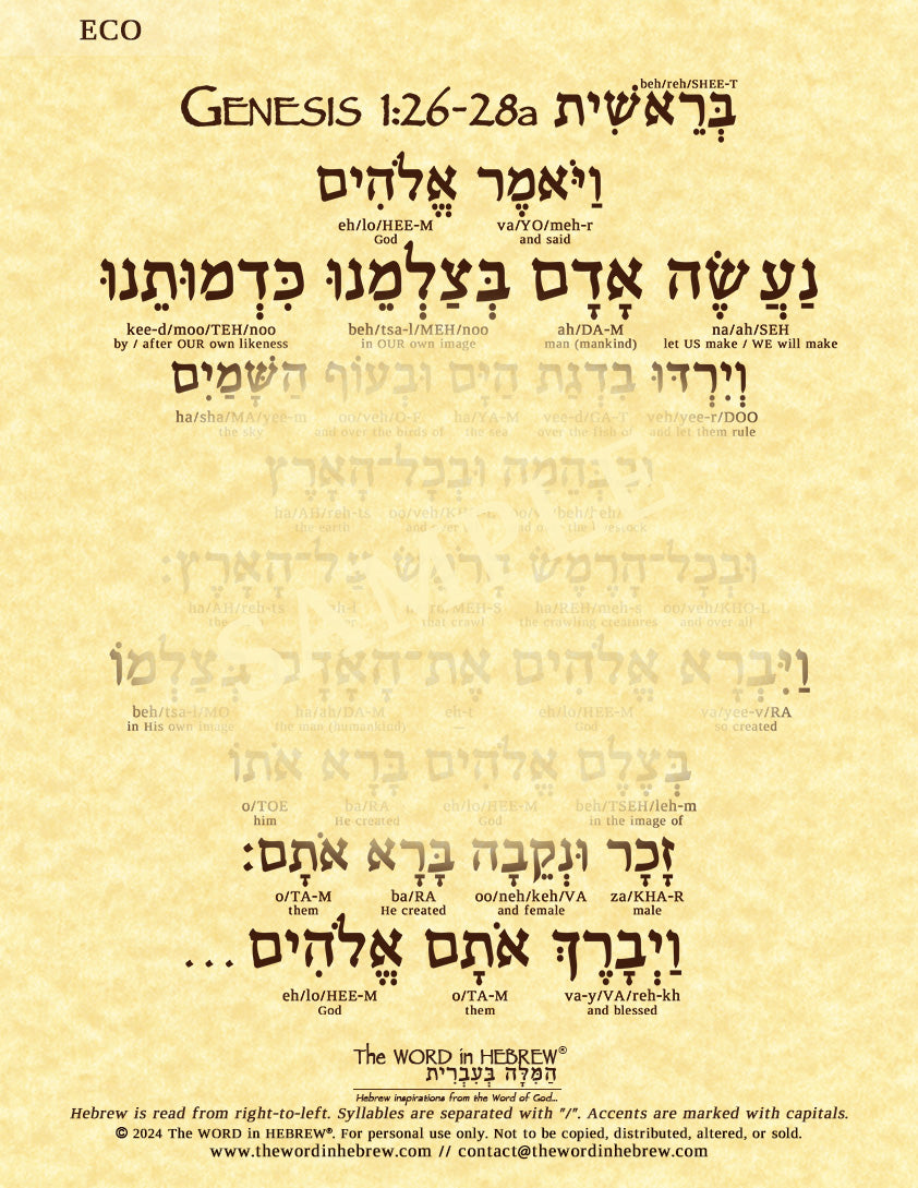 Genesis 1:26-28a in Hebrew - "Let US make man in OUR image..." - Print
