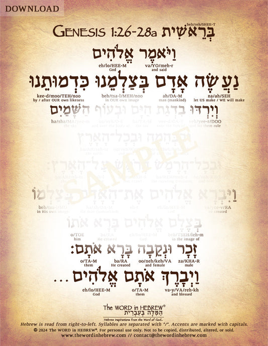 Genesis 1:26-28a in Hebrew - "Let US make man in OUR image..." - Digital Download