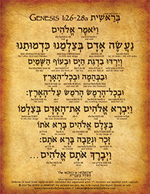 Genesis 1:26-28a in Hebrew (WHOLESALE ONLY!) "Let US make man in OUR image..."