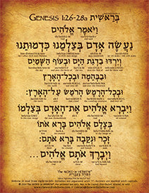 Genesis 1:26-28a in Hebrew - "Let US make man in OUR image..." - Print