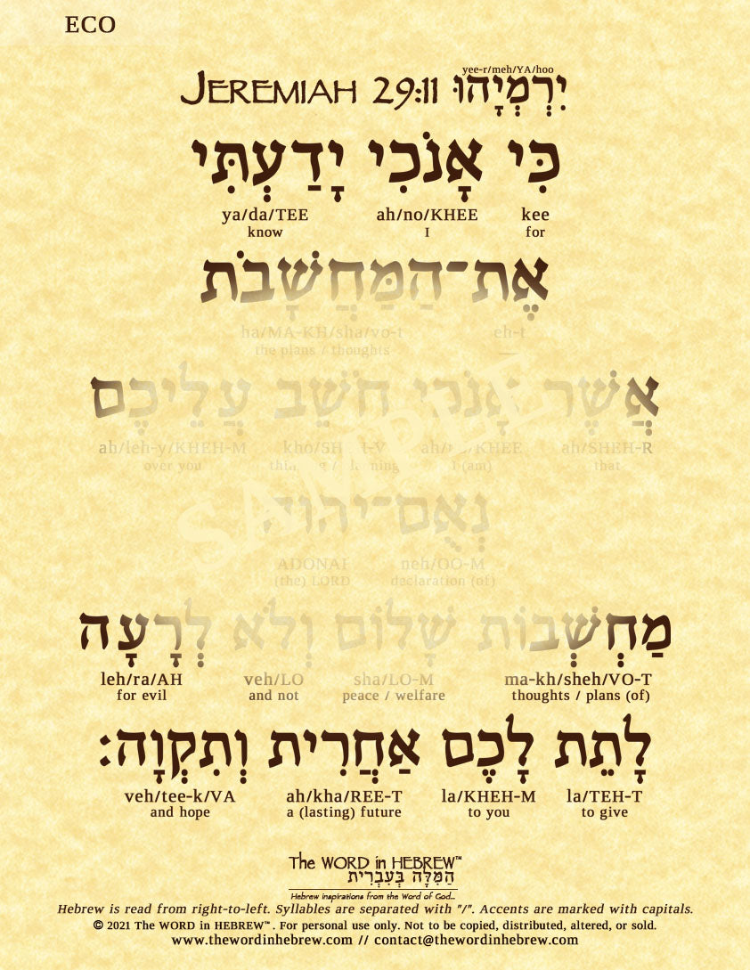 Jeremiah 29:11 in Hebrew - "For I know the plans I have for you..." - Print