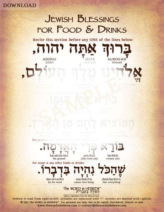 Jewish Blessings for Food & Drinks in Hebrew - Digital Download