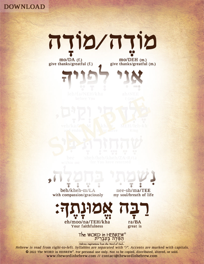 Modeh Ani Prayer in Hebrew - Digital Download