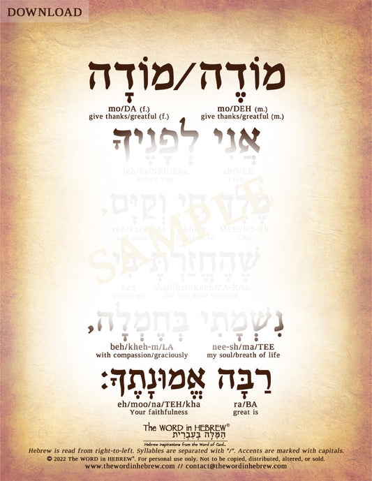 Modeh Ani Prayer in Hebrew - Digital Download