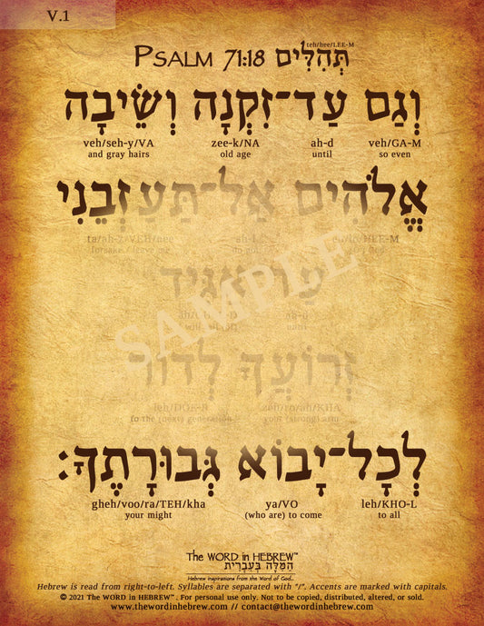 Psalm 71:18 in Hebrew (WHOLESALE ONLY!) "So even until I am old and gray..."