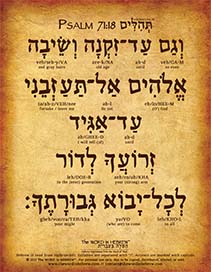 Psalm 71:18 in Hebrew (WHOLESALE ONLY!) "So even until I am old and gray..."