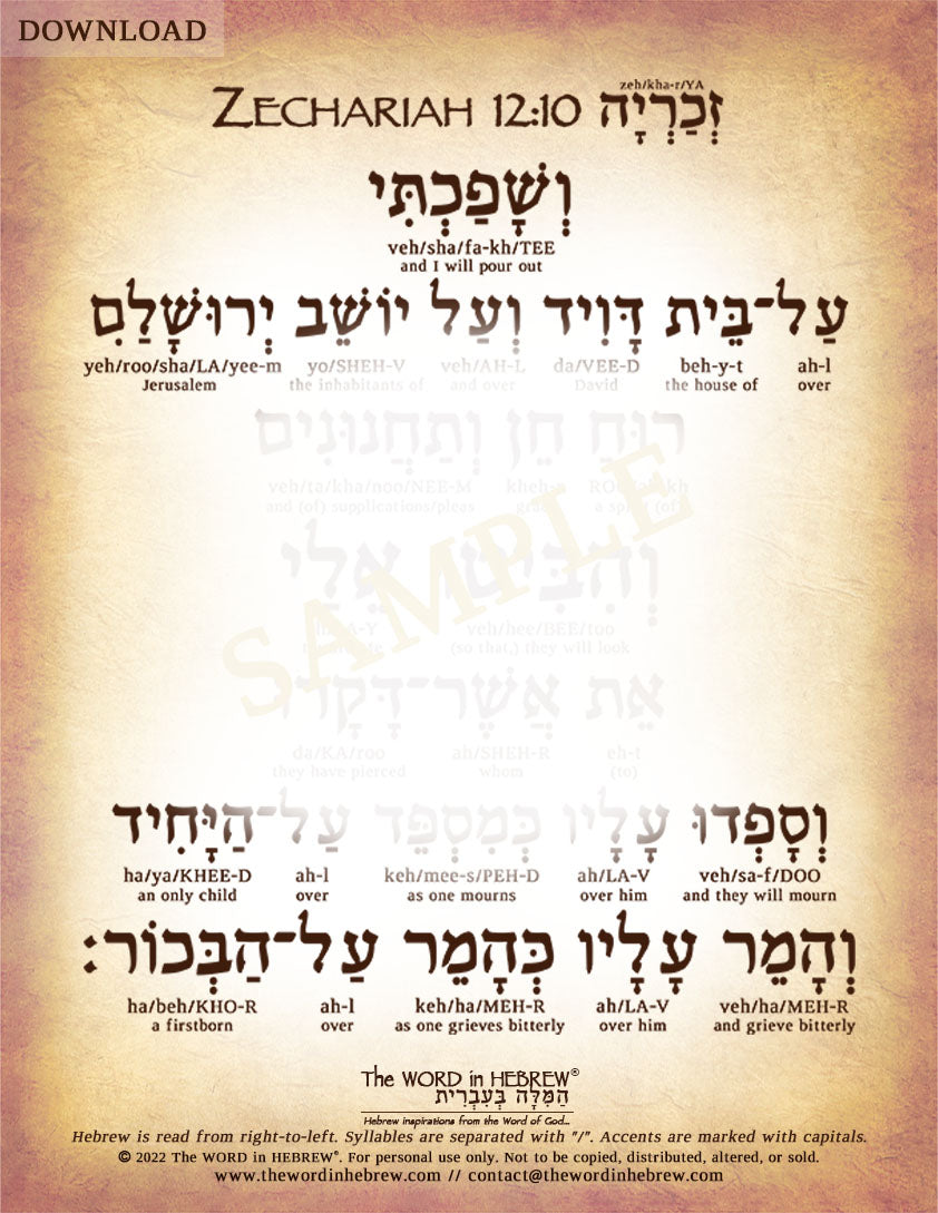 Zechariah 12:10 in Hebrew - The Pierced Messiah - Digital Download