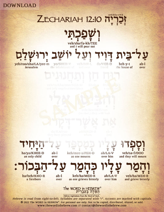 Zechariah 12:10 in Hebrew - The Pierced Messiah - Digital Download