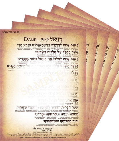 Daniel 9 in Hebrew - "Seventy Weeks of Daniel" (6-Page PDF DOWNLOAD)