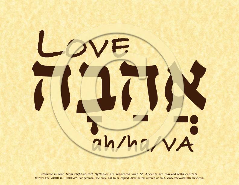 Love Ahava in Hebrew - Word Poster