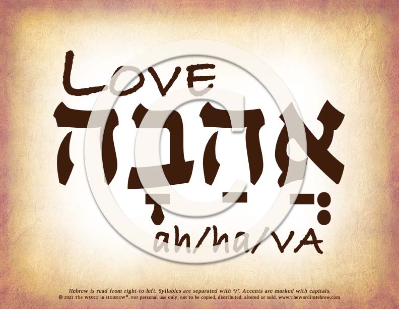 Love Ahava in Hebrew - Word Poster