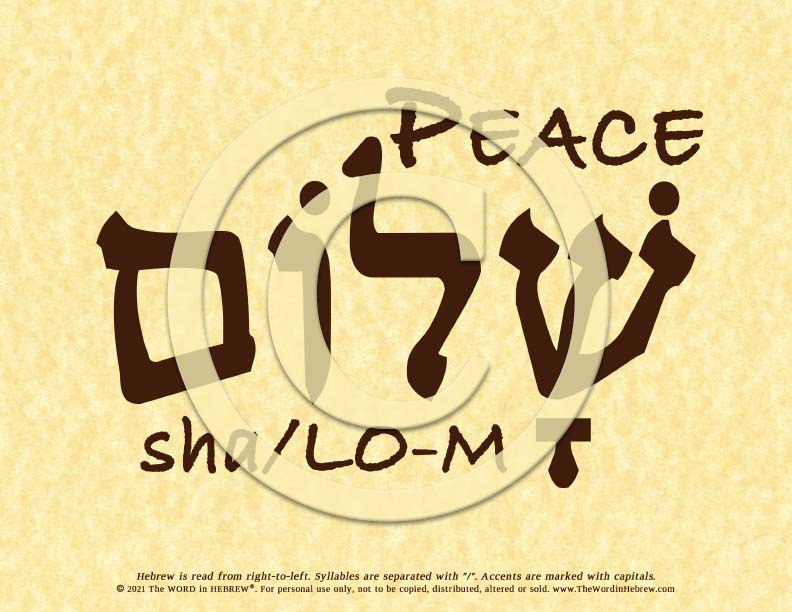 Peace Shalom in Hebrew - Word Poster