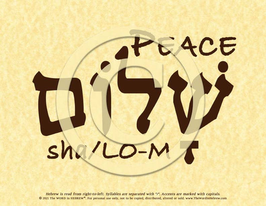 Peace Shalom in Hebrew - Word Poster