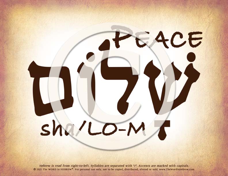 Peace Shalom in Hebrew - Word Poster