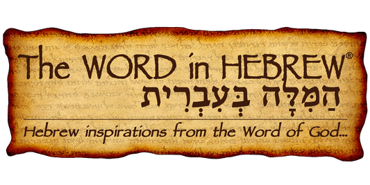 Support The WORD in HEBREW