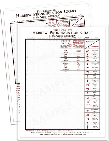 The Complete Hebrew Pronunciation Chart (WHOLESALE ONLY!) WHITE - LAMINATED