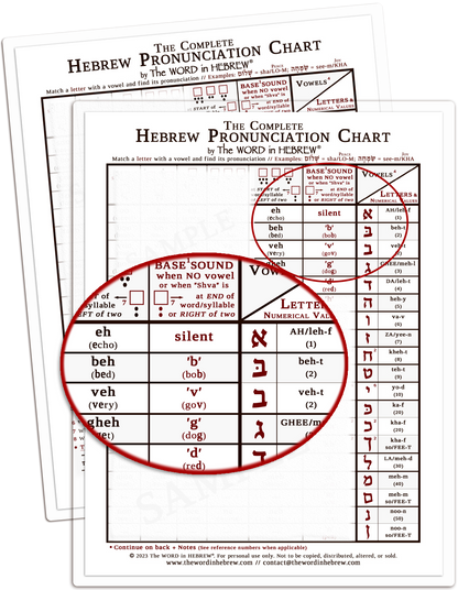The Complete Hebrew Pronunciation Chart (WHOLESALE ONLY!) WHITE - LAMINATED