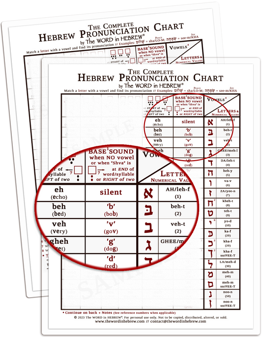 The Complete Hebrew Pronunciation Chart (WHOLESALE ONLY!) WHITE - LAMINATED