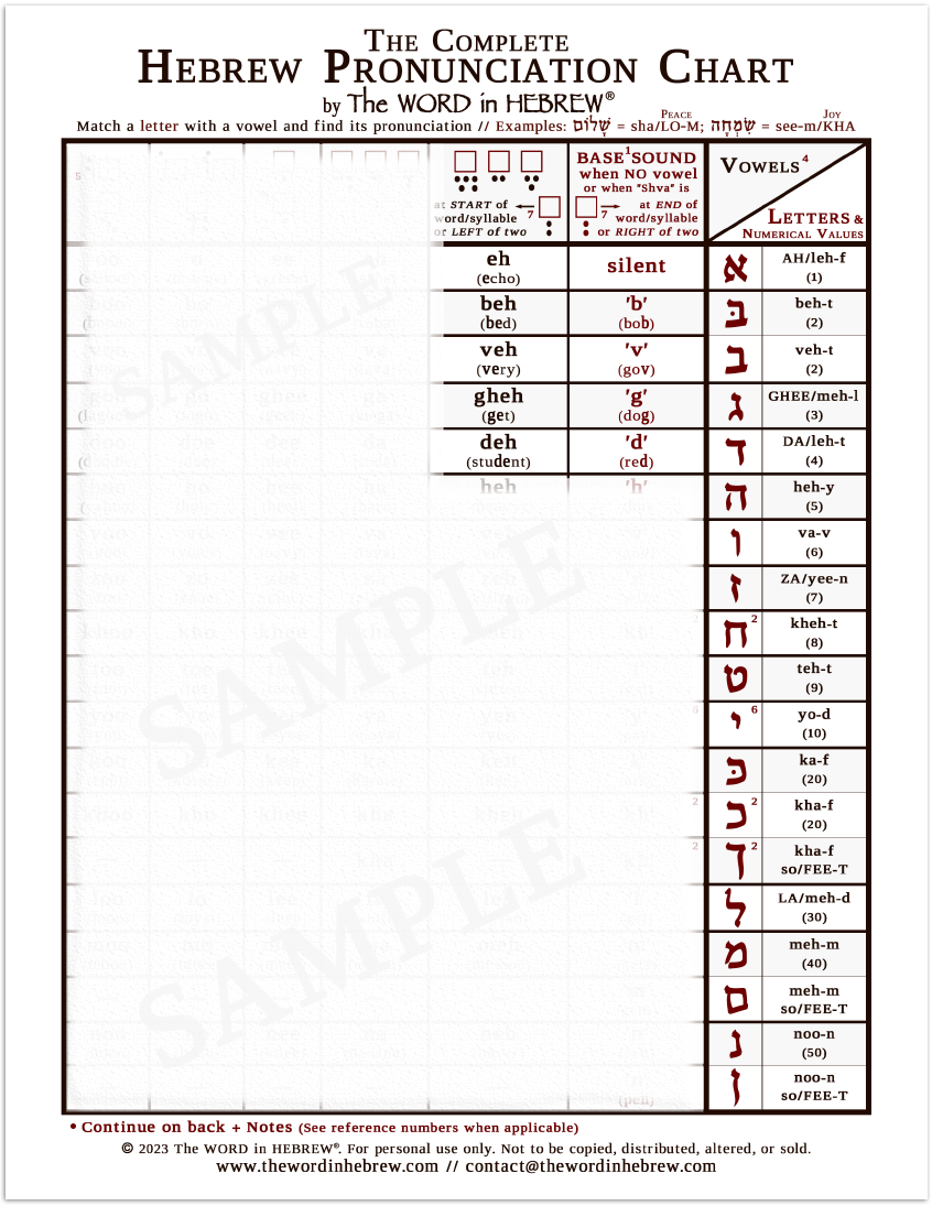 The Complete Hebrew Pronunciation Chart (WHOLESALE ONLY!) WHITE - LAMINATED