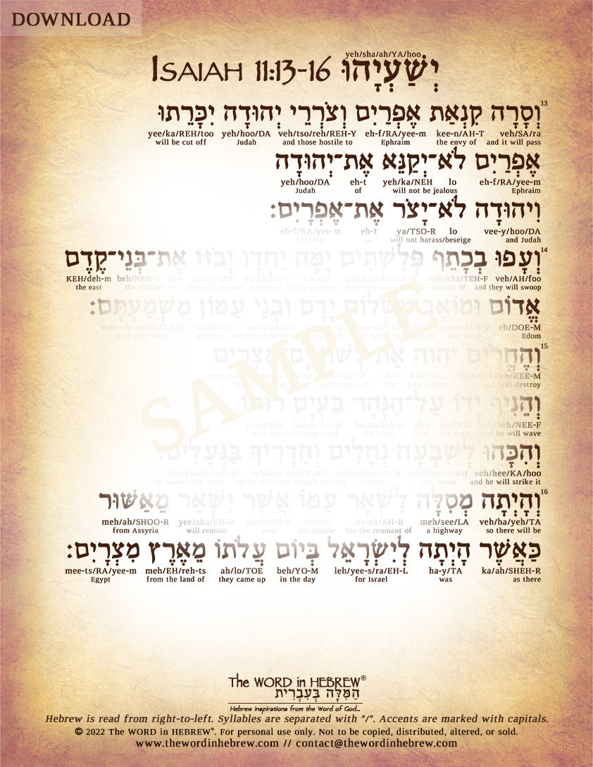 Isaiah 11 in Hebrew - "The Shoot of Jesse" (3-Page PDF DOWNLOAD)