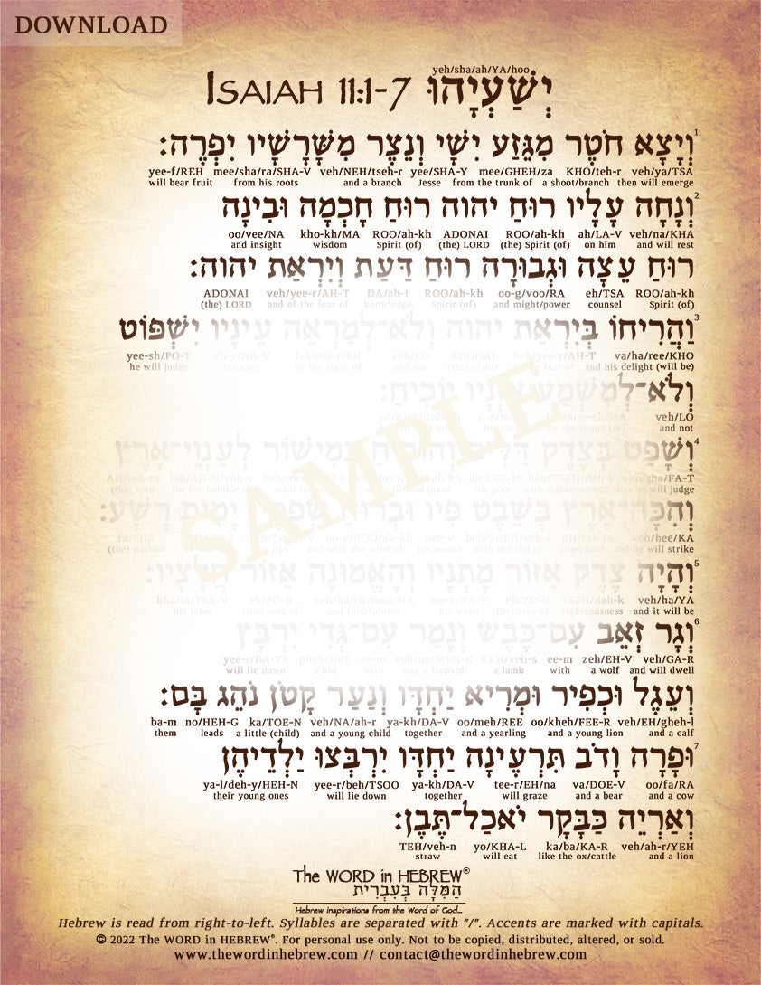 Isaiah 11 in Hebrew - "The Shoot of Jesse" (3-Page PDF DOWNLOAD)