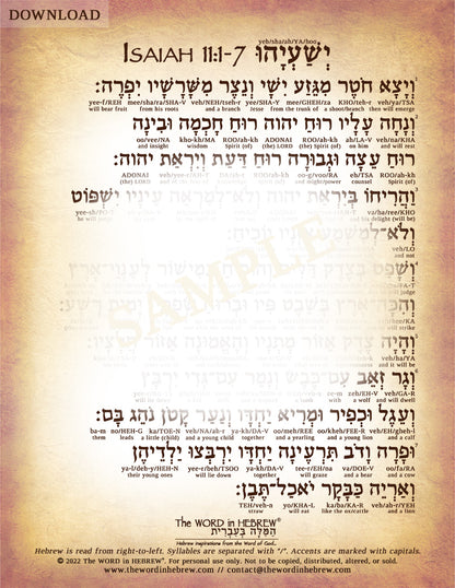 Isaiah 11 in Hebrew - "The Shoot of Jesse" (3-Page PDF DOWNLOAD)