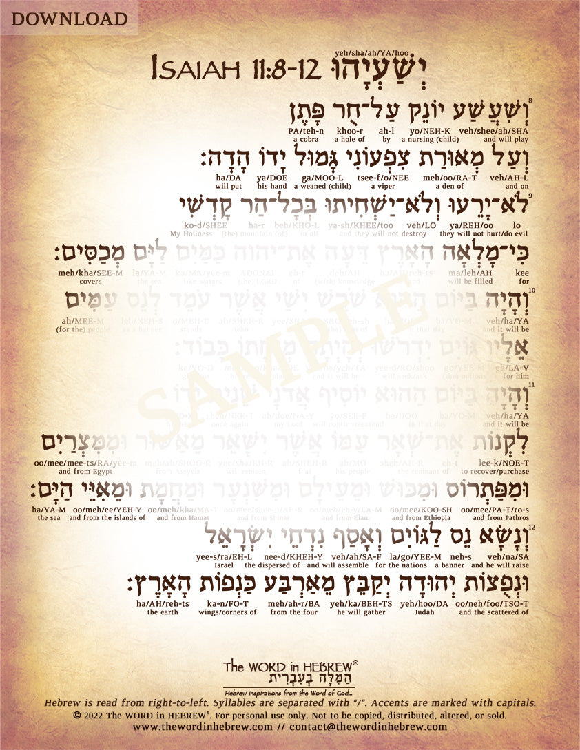 Isaiah 11 in Hebrew - "The Shoot of Jesse" (3-Page PDF DOWNLOAD)