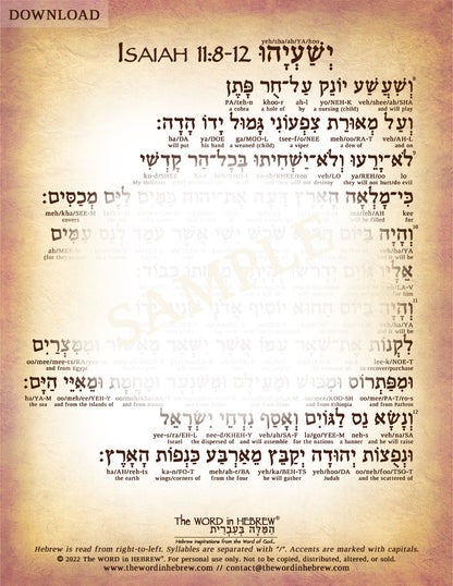 Isaiah 11 in Hebrew - "The Shoot of Jesse" (3-Page PDF DOWNLOAD)