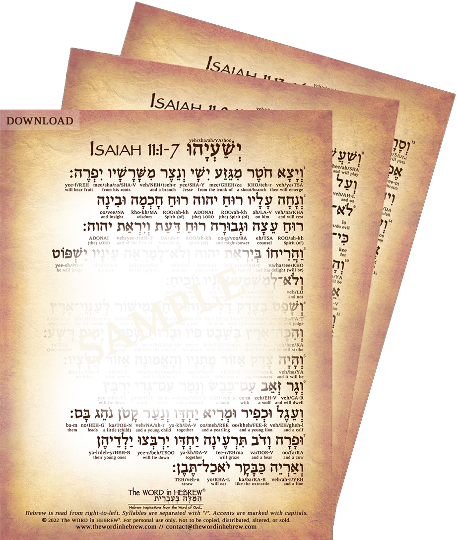 Isaiah 11 in Hebrew - "The Shoot of Jesse" (3-Page PDF DOWNLOAD)