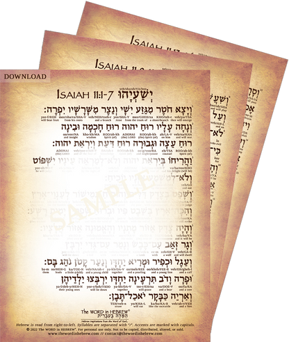 Isaiah 11 in Hebrew - "The Shoot of Jesse" (3-Page PDF DOWNLOAD)