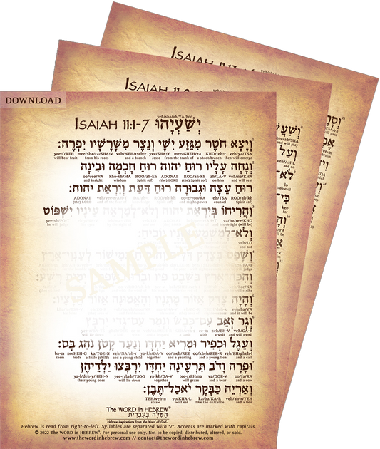 Isaiah 11 in Hebrew - "The Shoot of Jesse" - Digital Download (3-Pages)