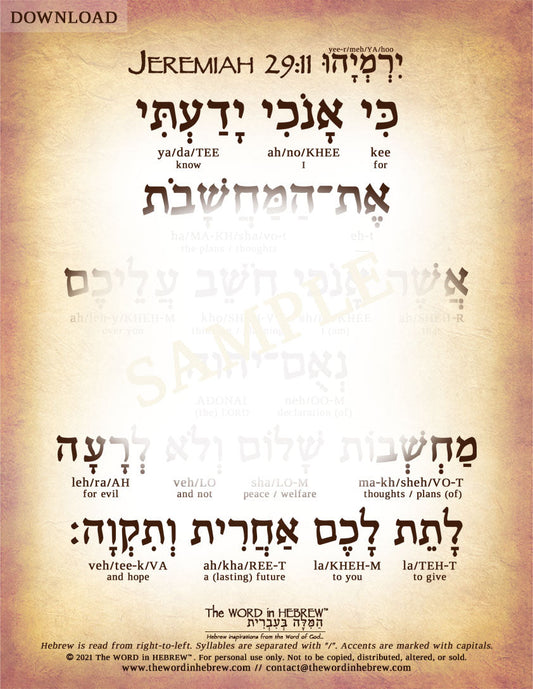 Jeremiah 29:11 in Hebrew - "For I know the plans I have for you..." - Digital Download