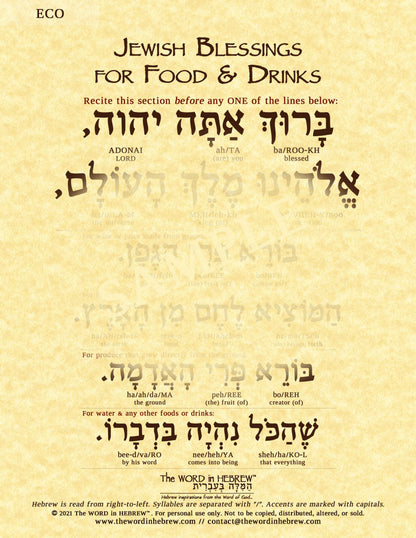 Jewish Blessings for Food & Drinks in Hebrew - Print