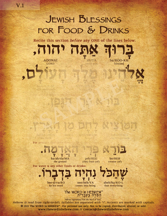 Jewish Blessings for Food & Drinks in Hebrew (WHOLESALE ONLY!)