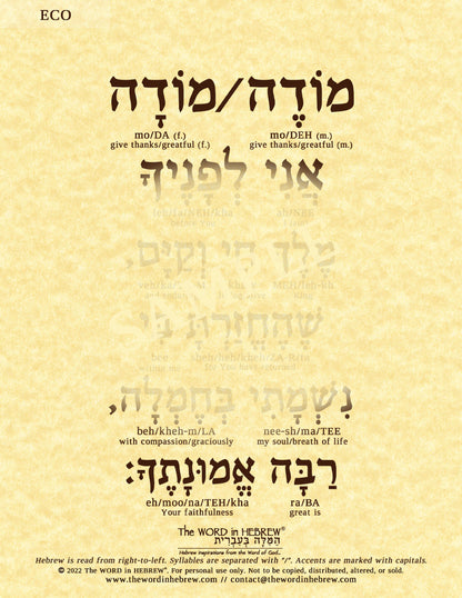 Modeh Ani Prayer in Hebrew - Print