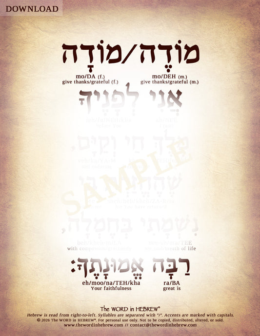 Modeh Ani Prayer in Hebrew - Digital Download