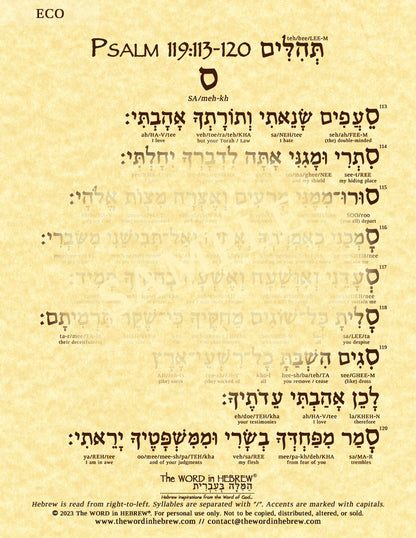 Psalm 119 in Hebrew - ECO PRINTS (8.5"x11")