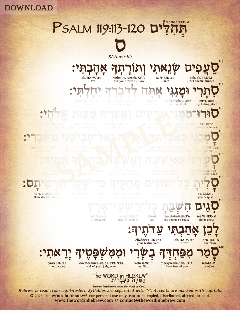 Psalm 119 in Hebrew - PDF DOWNLOADS (8.5"x11", NO Shipping)