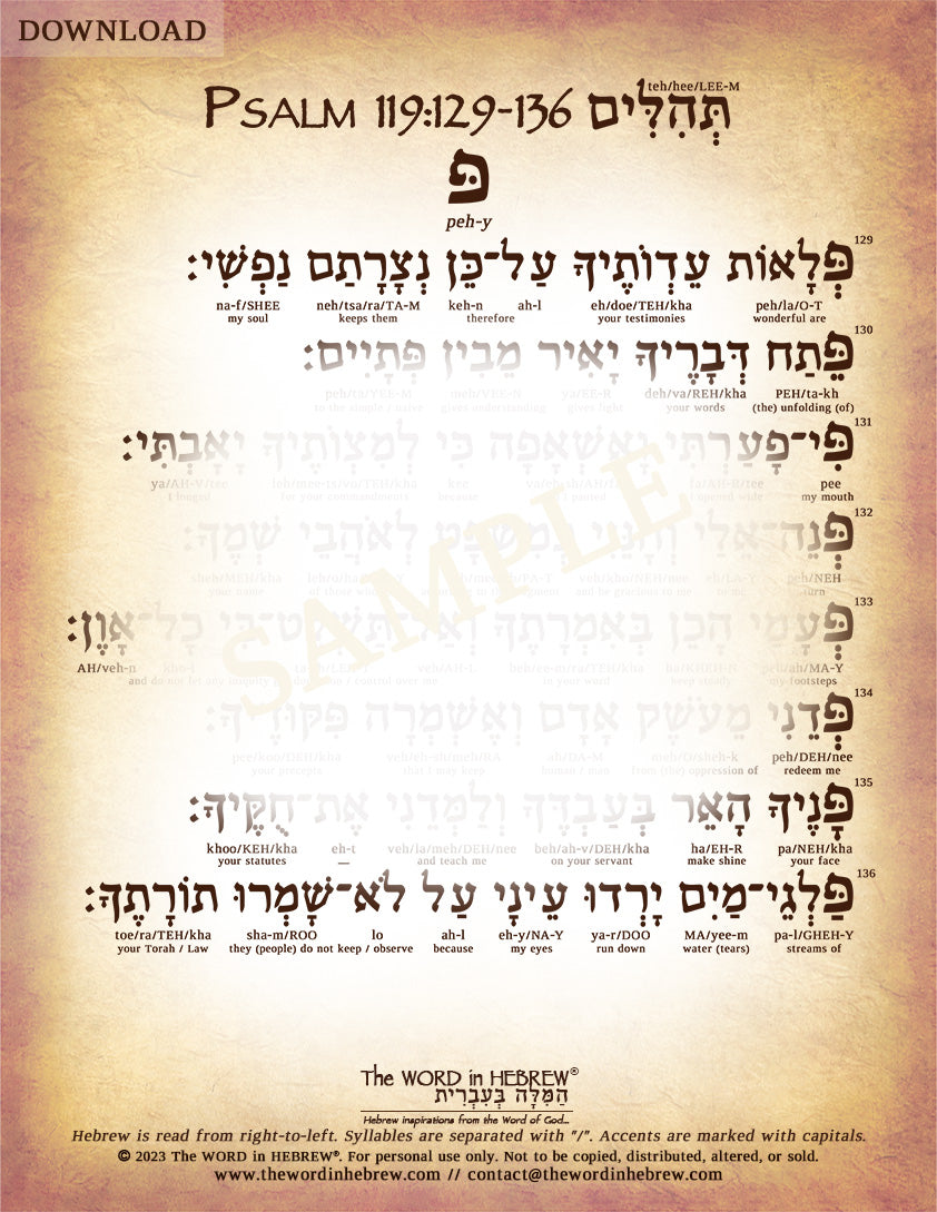 Psalm 119 in Hebrew - PDF DOWNLOADS (8.5"x11", NO Shipping)