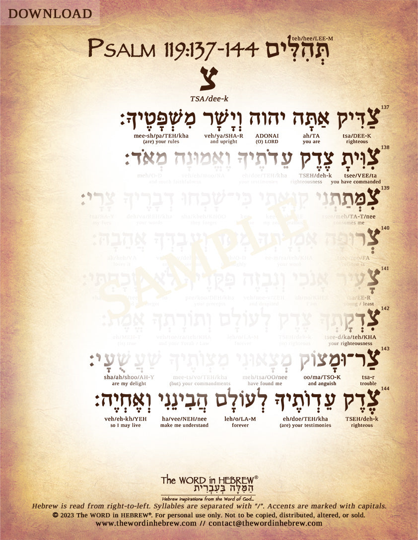 Psalm 119 in Hebrew - PDF DOWNLOADS (8.5"x11", NO Shipping)