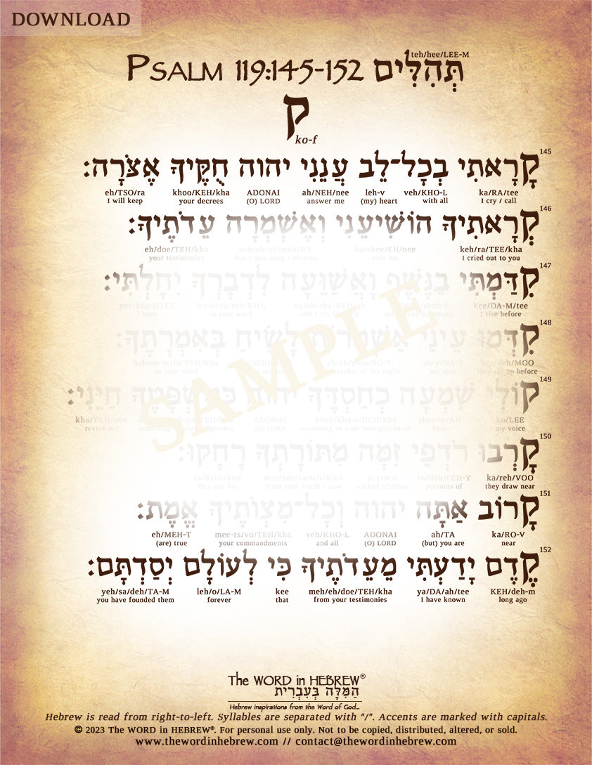 Psalm 119 in Hebrew - PDF DOWNLOADS (8.5"x11", NO Shipping)