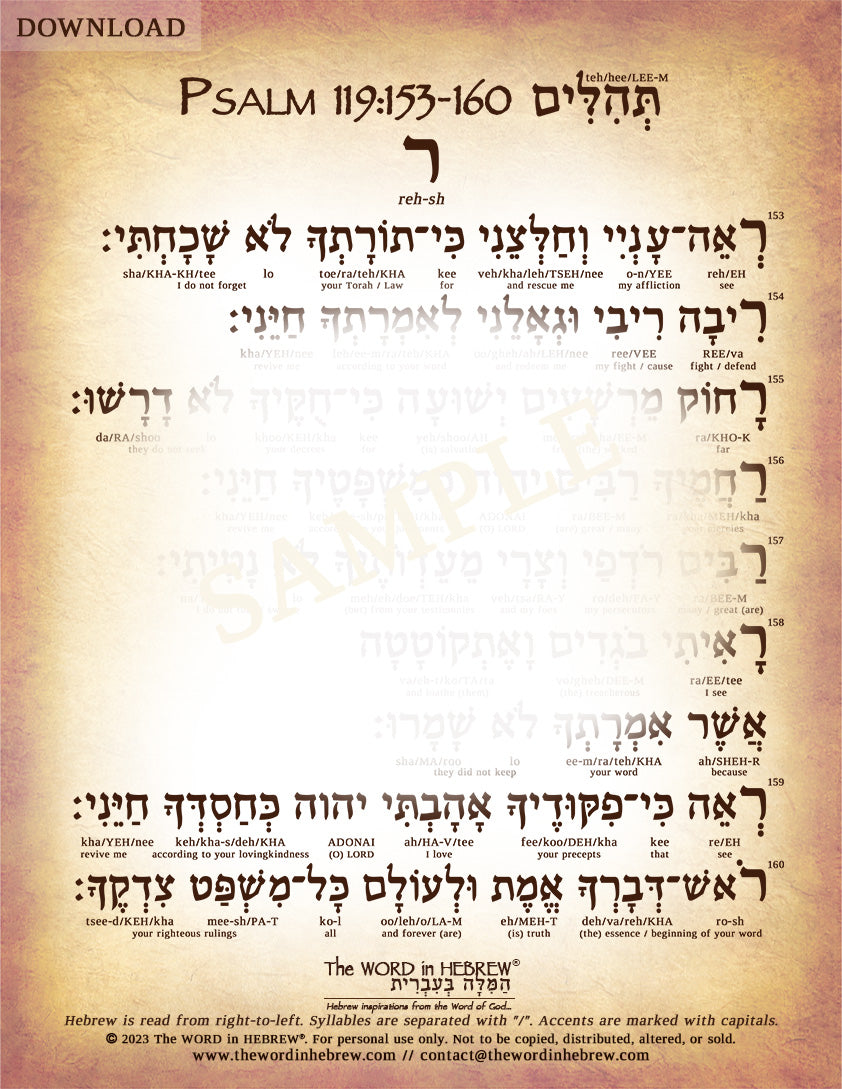 Psalm 119 in Hebrew - PDF DOWNLOADS (8.5"x11", NO Shipping)