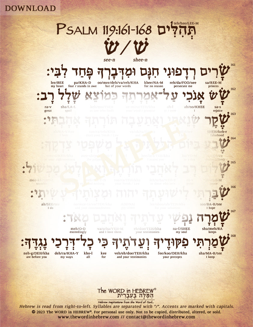 Psalm 119 in Hebrew - PDF DOWNLOADS (8.5"x11", NO Shipping)