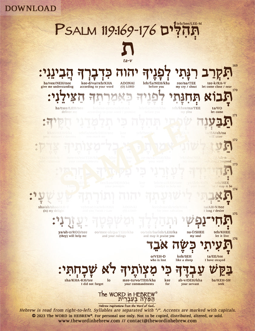 Psalm 119 in Hebrew - PDF DOWNLOADS (8.5"x11", NO Shipping)