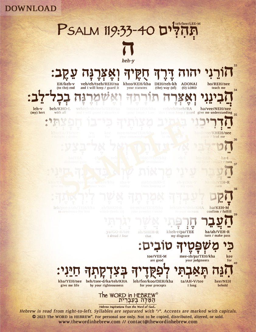 Psalm 119 in Hebrew - PDF DOWNLOADS (8.5"x11", NO Shipping)