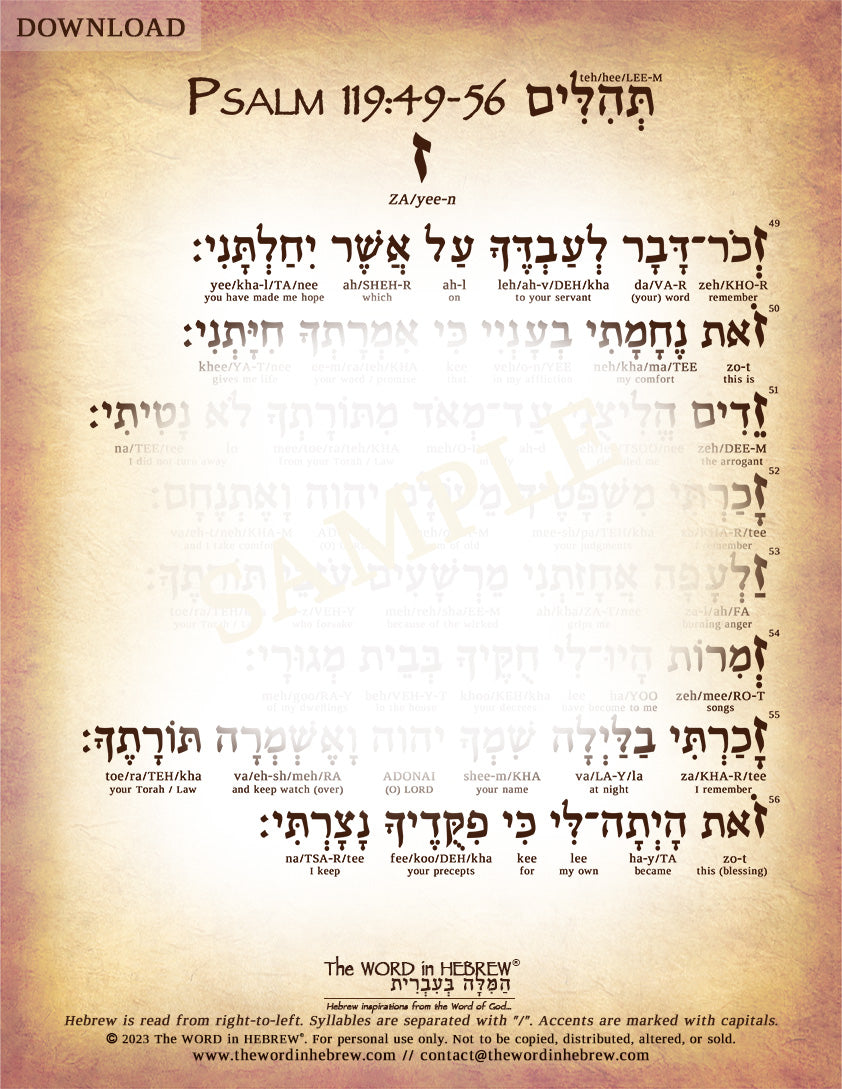 Psalm 119 in Hebrew - PDF DOWNLOADS (8.5"x11", NO Shipping)