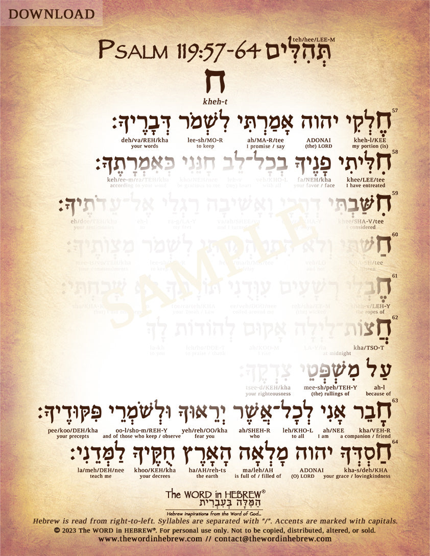 Psalm 119 in Hebrew - PDF DOWNLOADS (8.5"x11", NO Shipping)