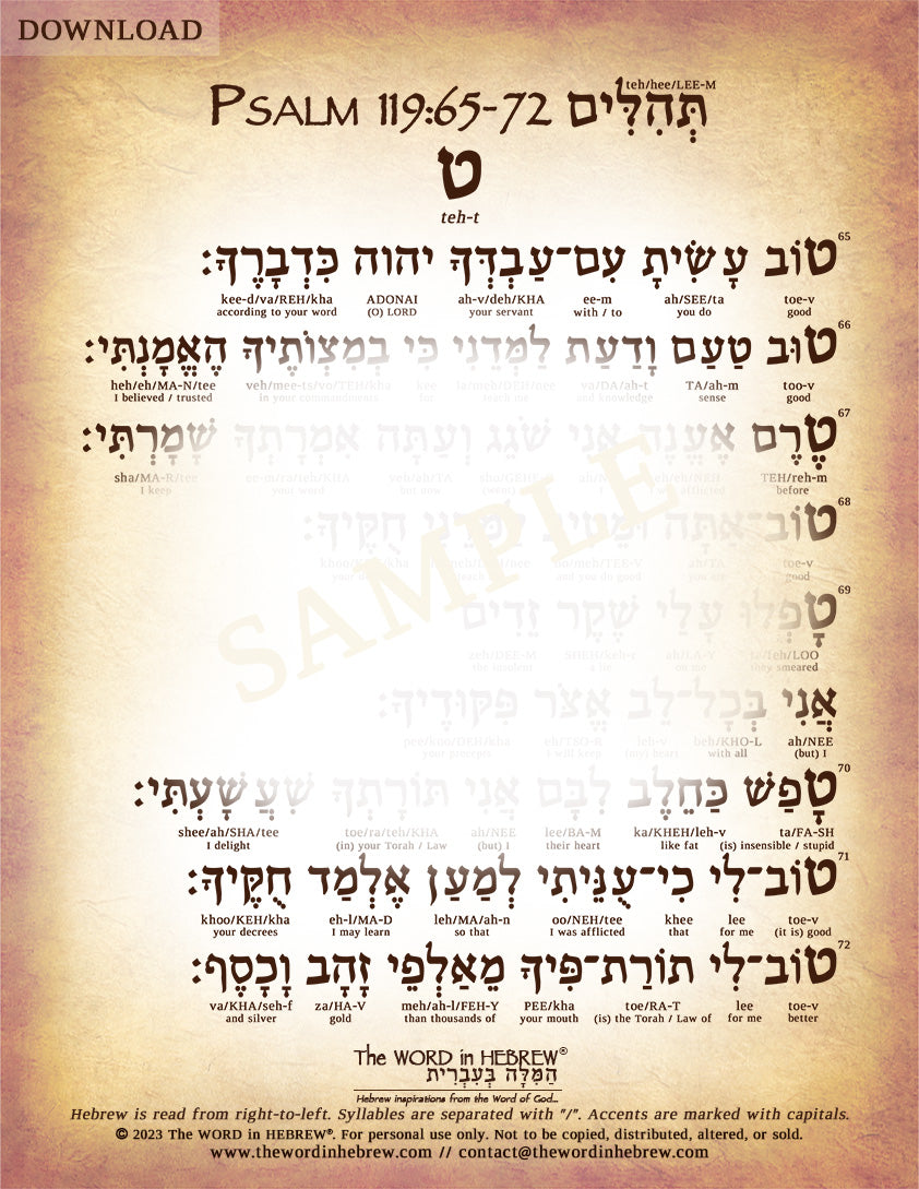 Psalm 119 in Hebrew - PDF DOWNLOADS (8.5"x11", NO Shipping)