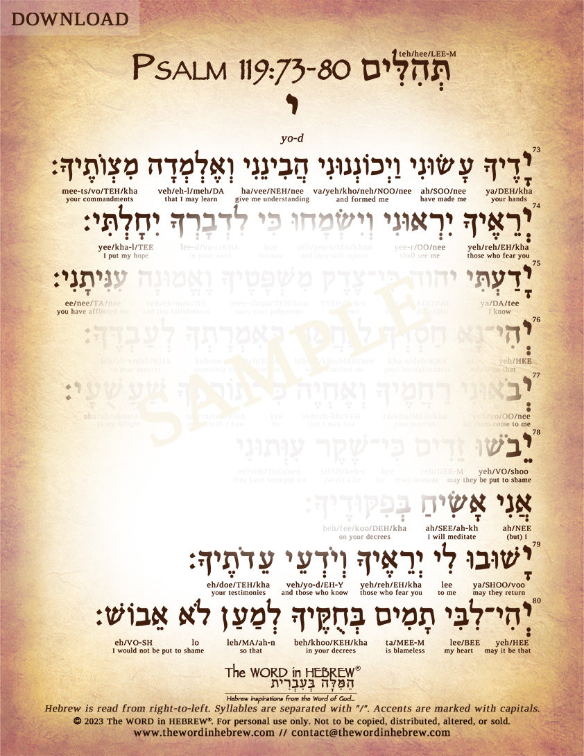 Psalm 119 in Hebrew - PDF DOWNLOADS (8.5"x11", NO Shipping)