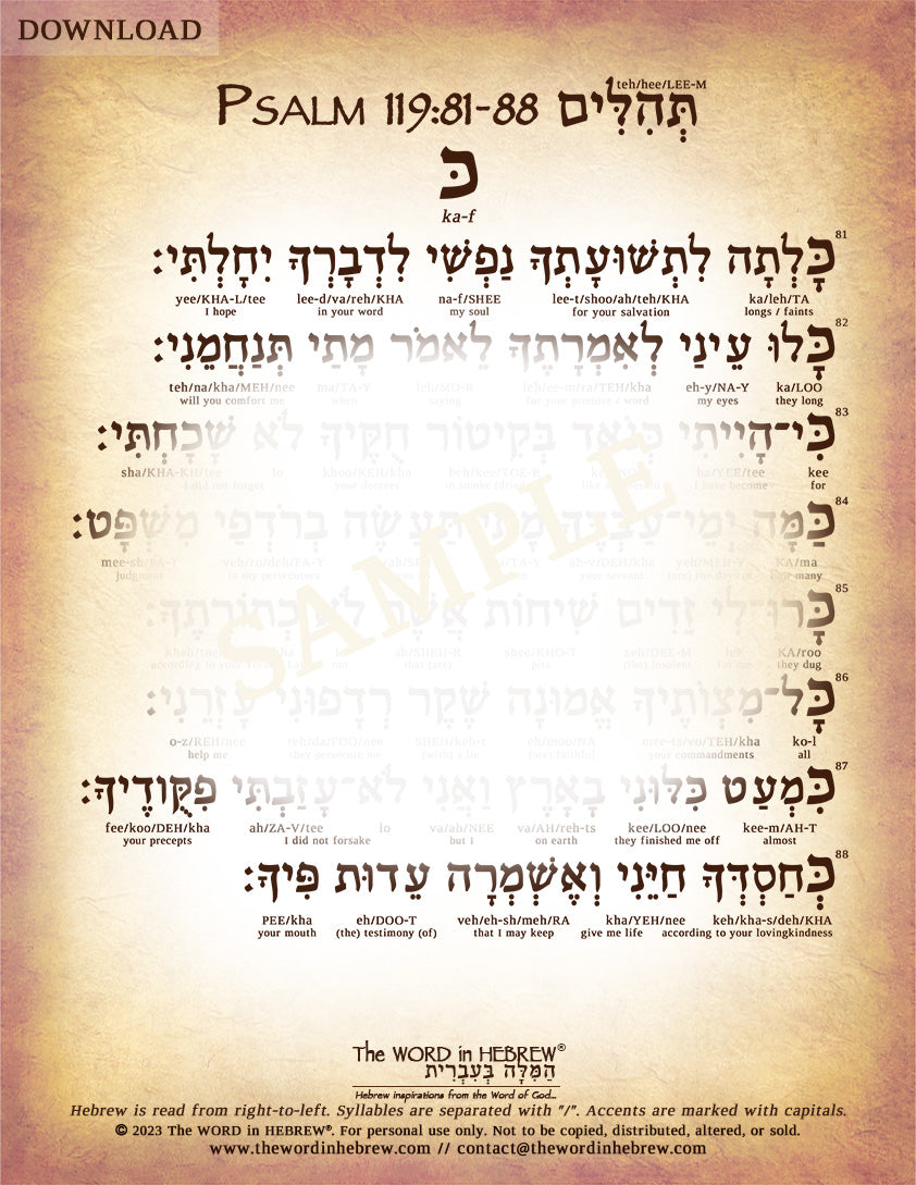 Psalm 119 in Hebrew - PDF DOWNLOADS (8.5"x11", NO Shipping)